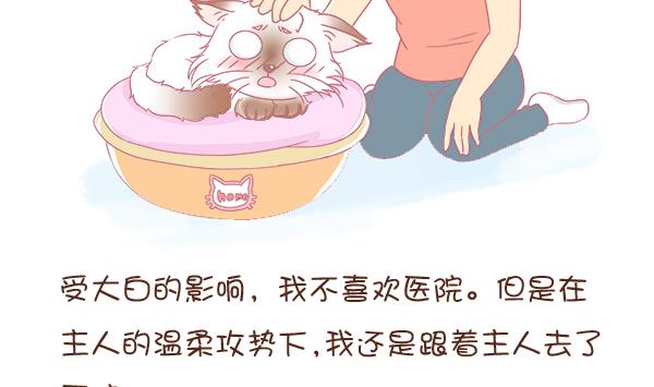 第2话 生病的嗨弟 2-第2话