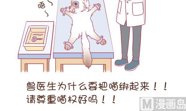 第2话 生病的嗨弟 2-第2话