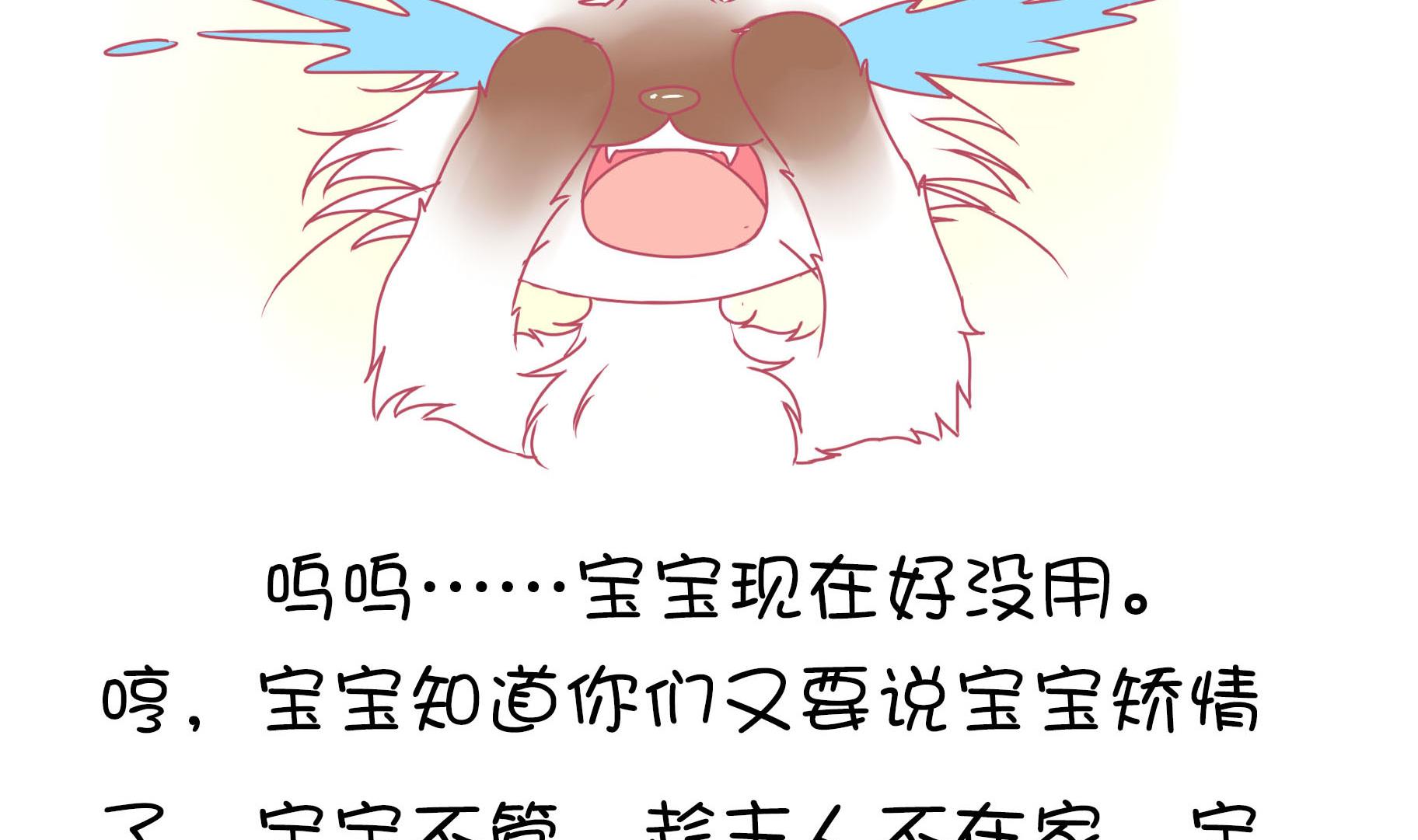 第14话 失落的嗨弟 1-第14话