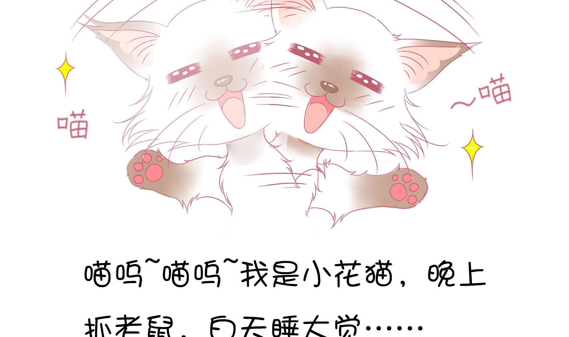 第16话 新伙伴豆沙 1-第16话