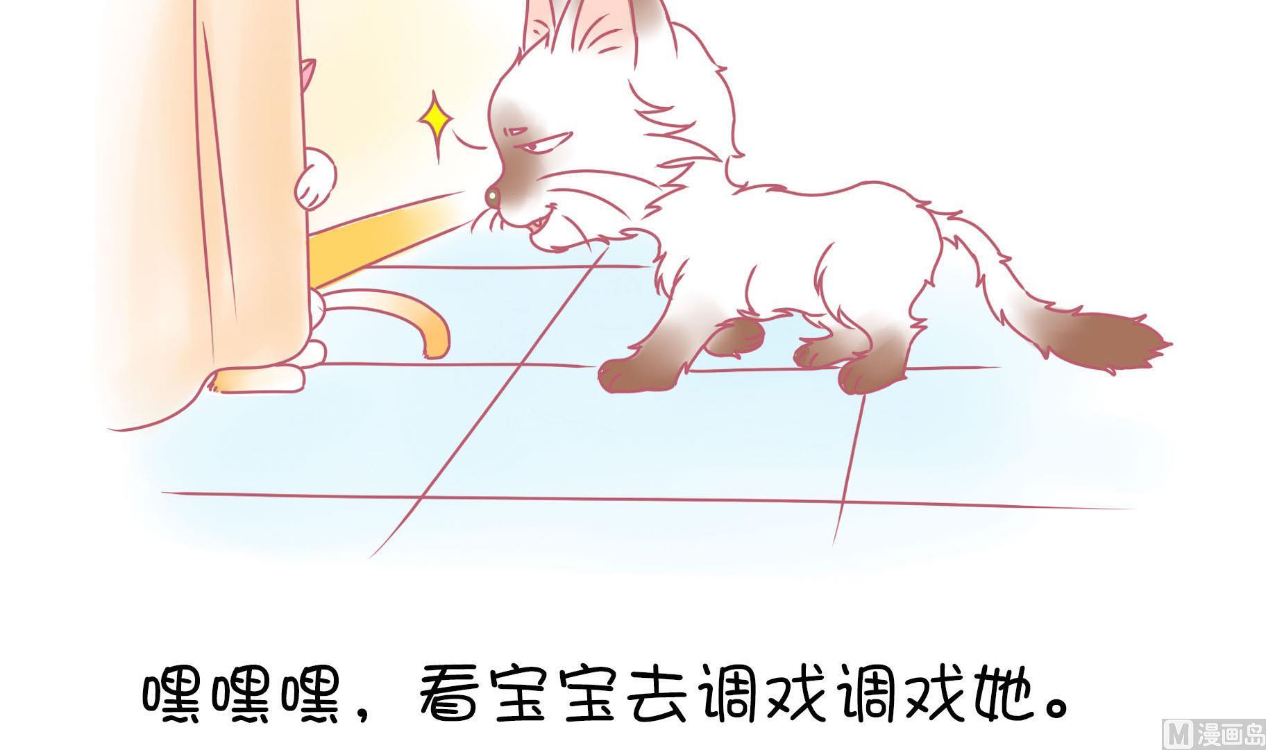 第16话 新伙伴豆沙 1-第16话