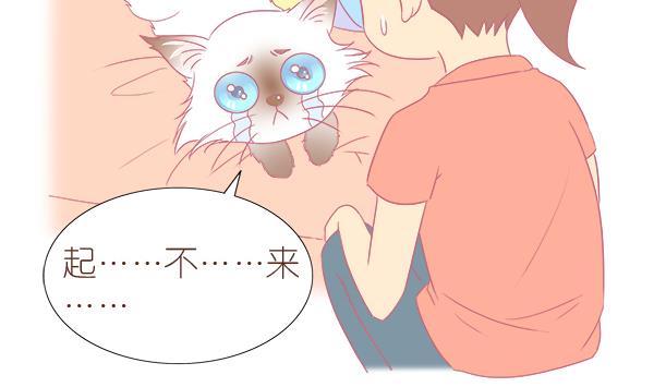 第4话 增肥计划 1-第4话