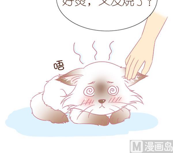 第4话 增肥计划 1-第4话