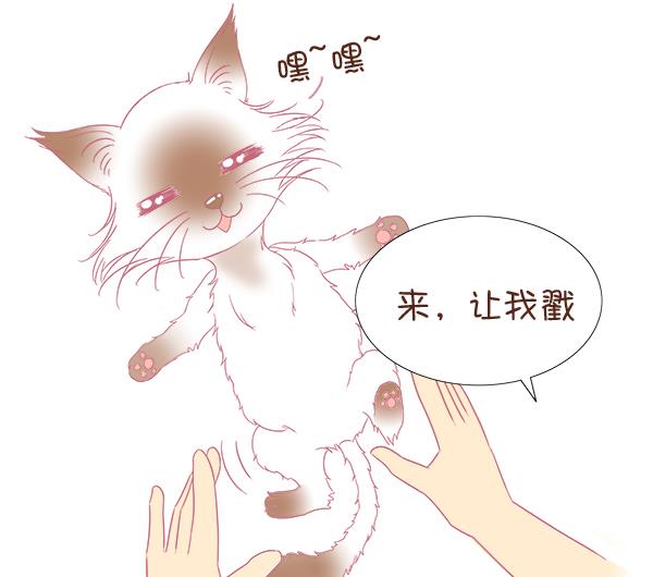 第4话 增肥计划 1-第4话