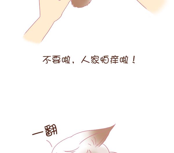 第4话 增肥计划 1-第4话