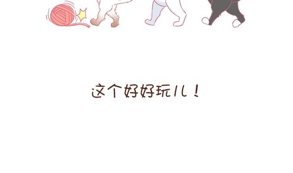第4话 增肥计划 1-第4话