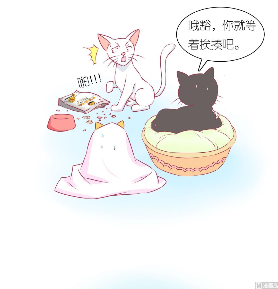 第32话 照顾豆沙-第32话