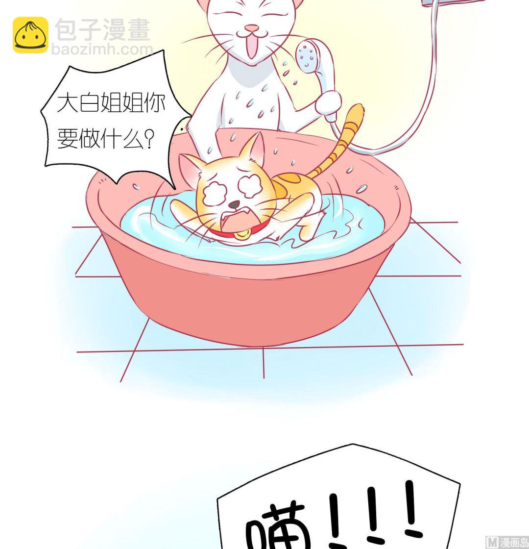 第32话 照顾豆沙-第32话