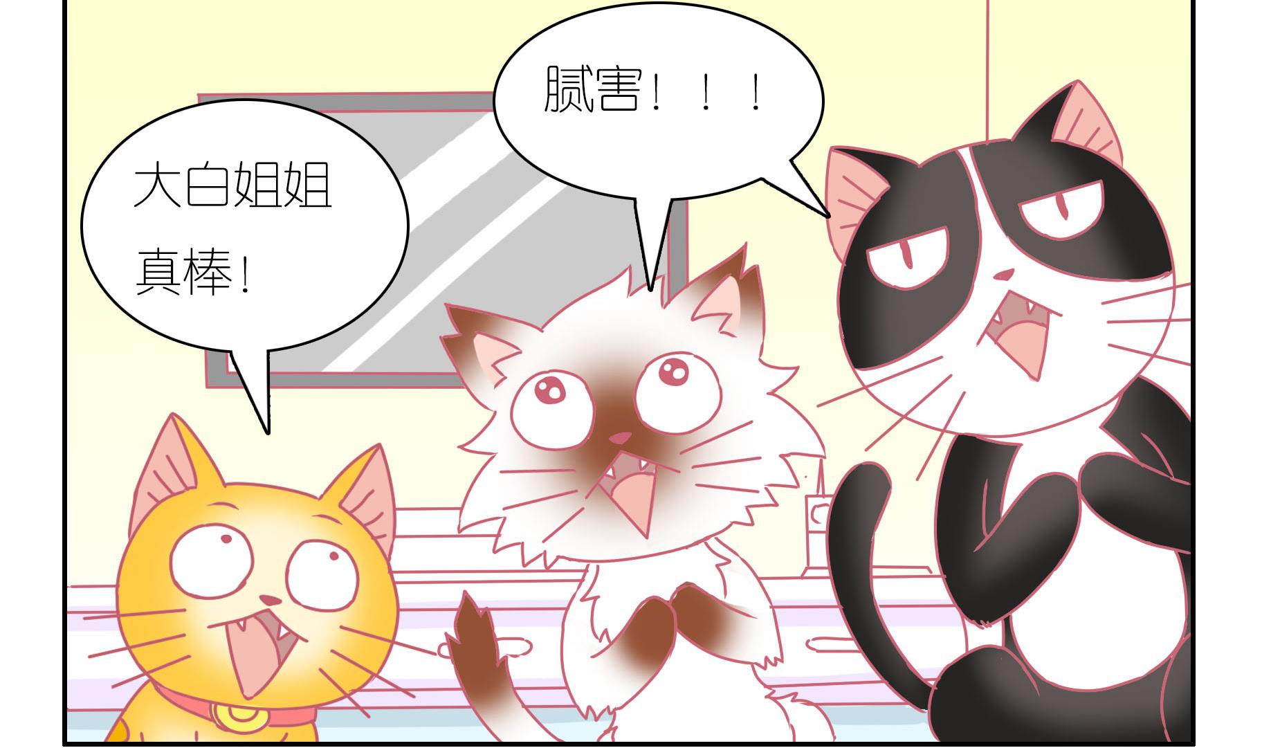 第40话 告别豆沙 3-第40话