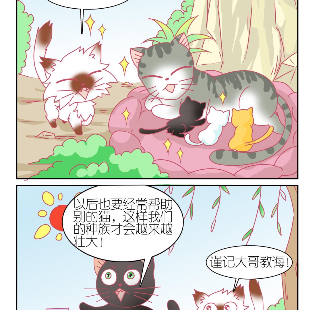 第44话 助喵为乐-第44话