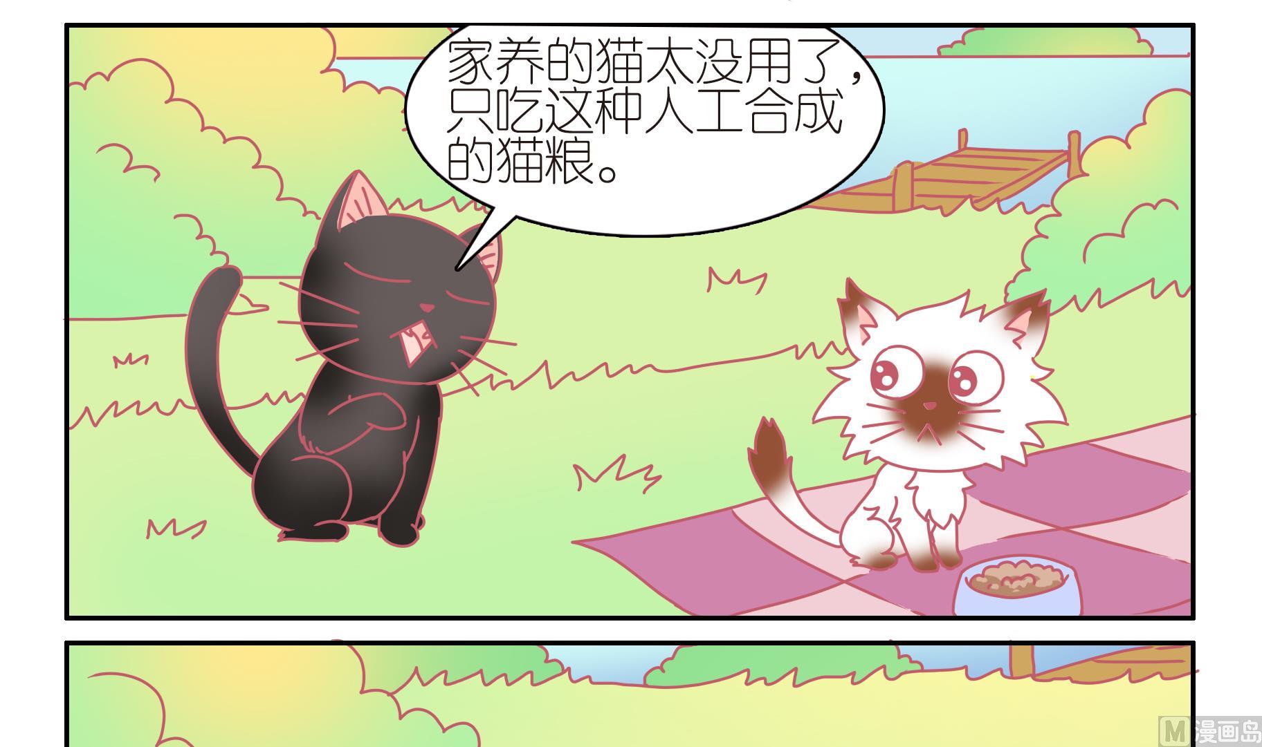 第44话 助喵为乐-第44话