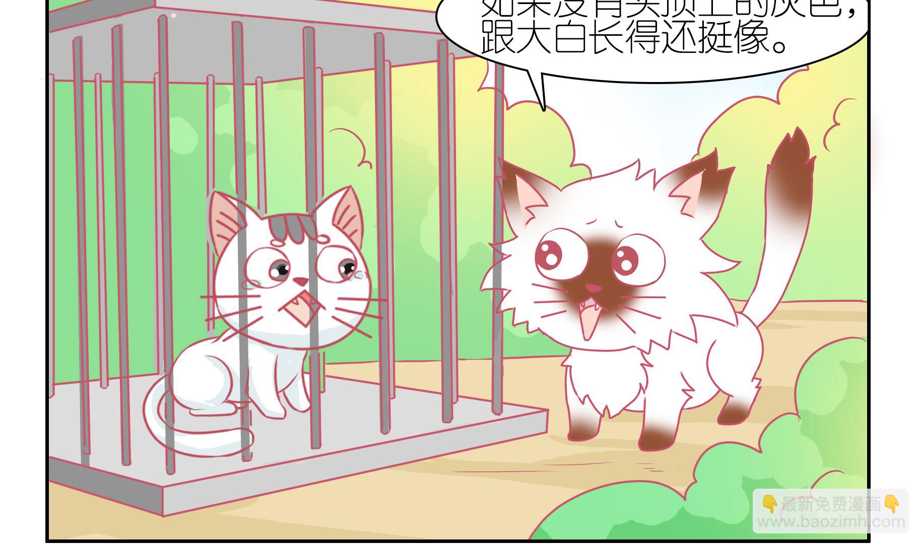 第46话 喵星天使 2-第46话