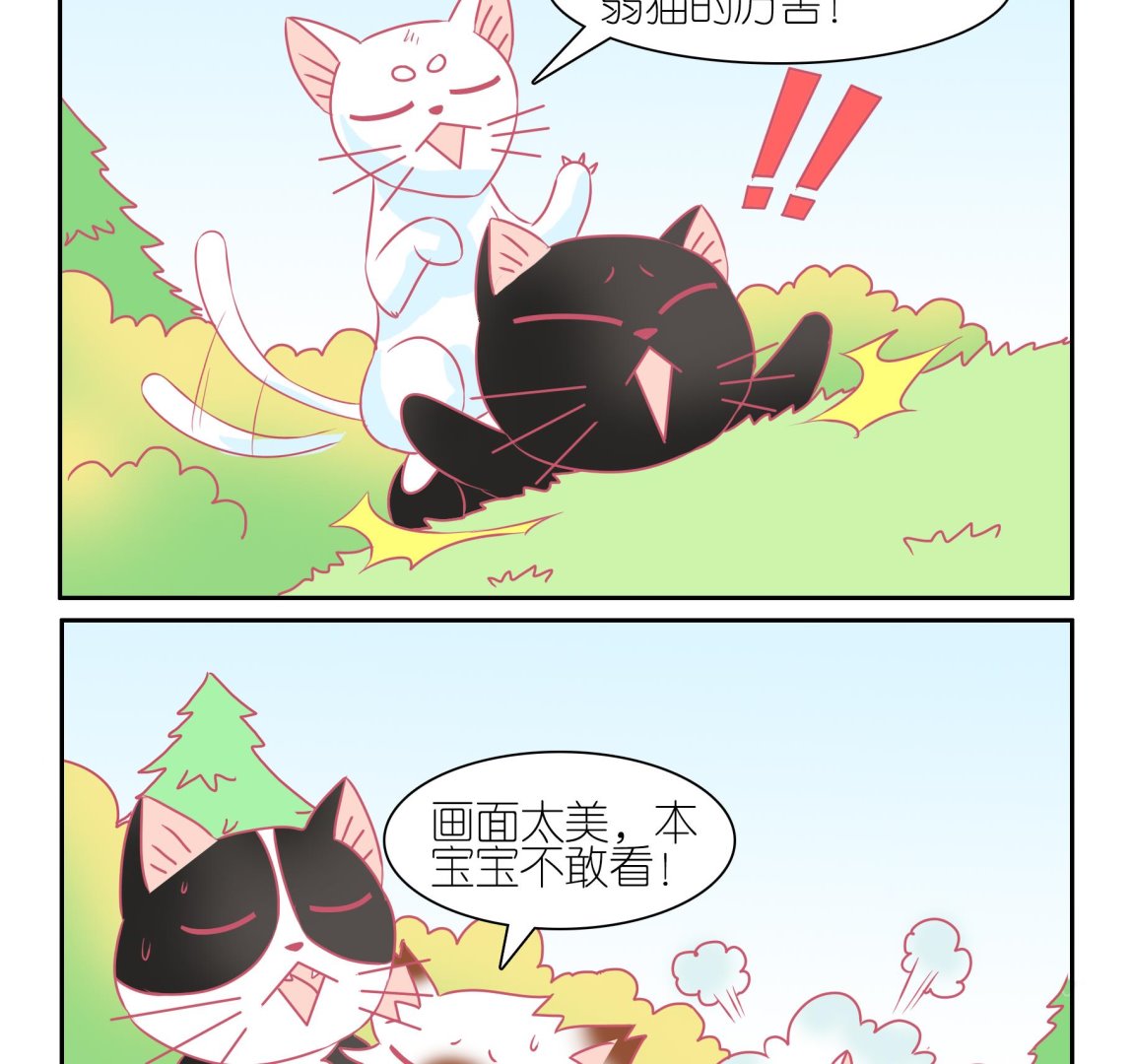 第50话 助喵能手 3-第50话