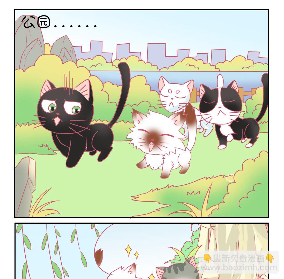 第50话 助喵能手 3-第50话