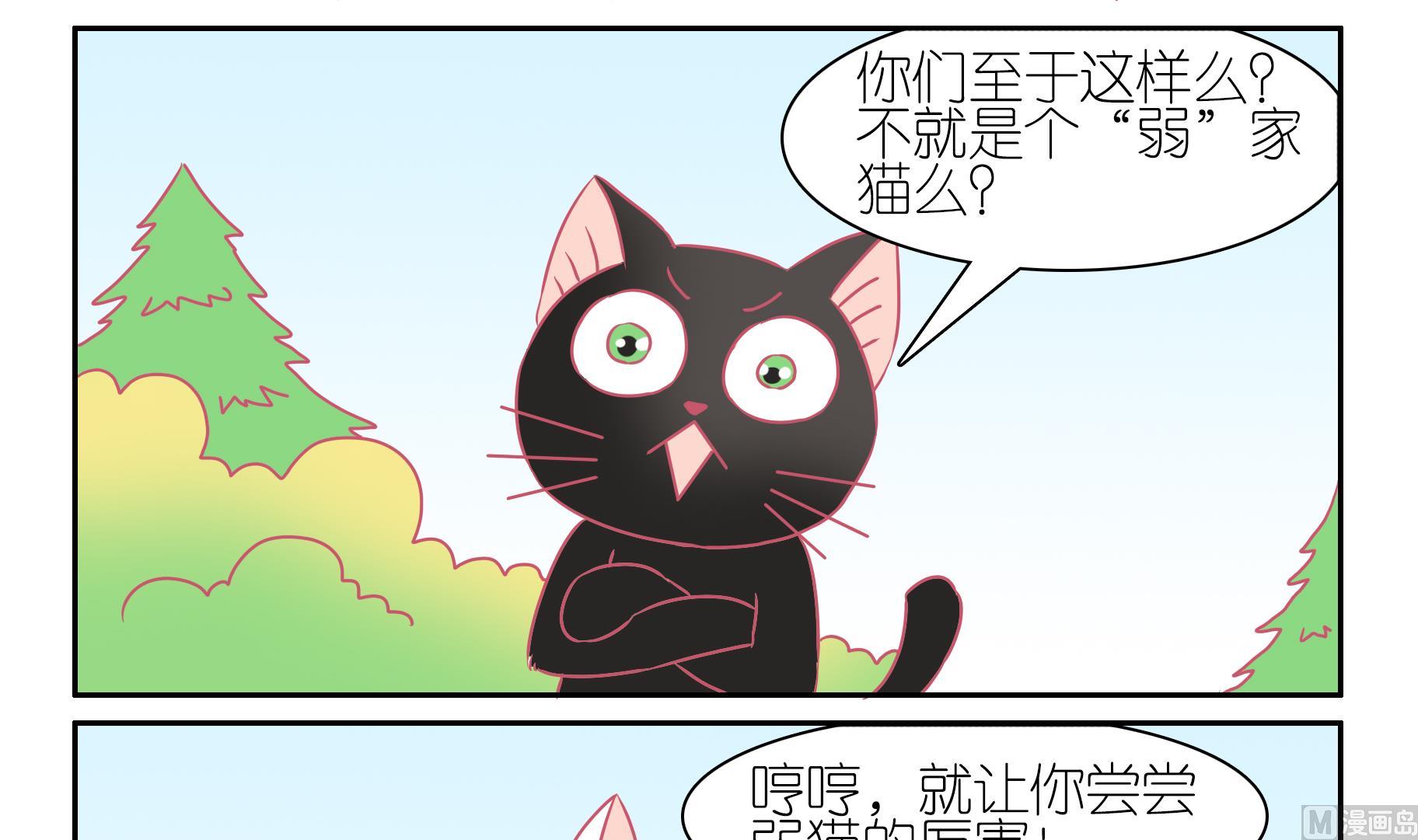 第50话 助喵能手 3-第50话