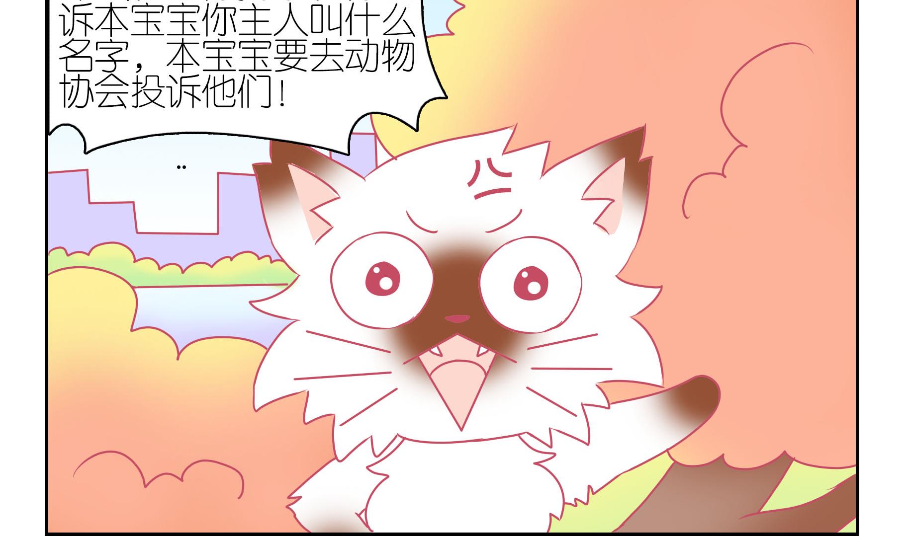 第52话 助喵能手 5-第52话