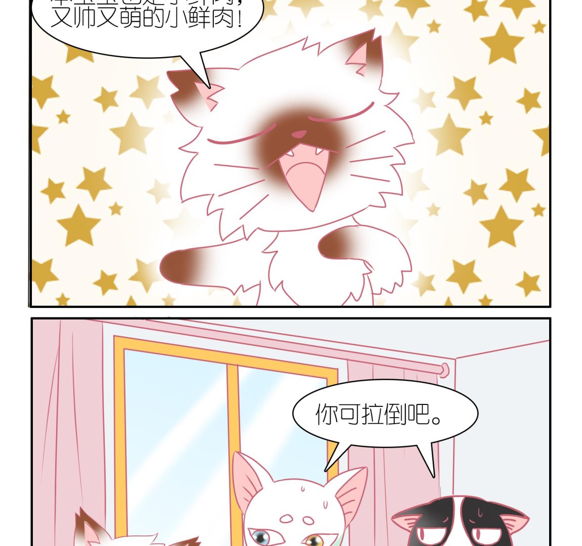 第54话 助喵能手 7-第54话