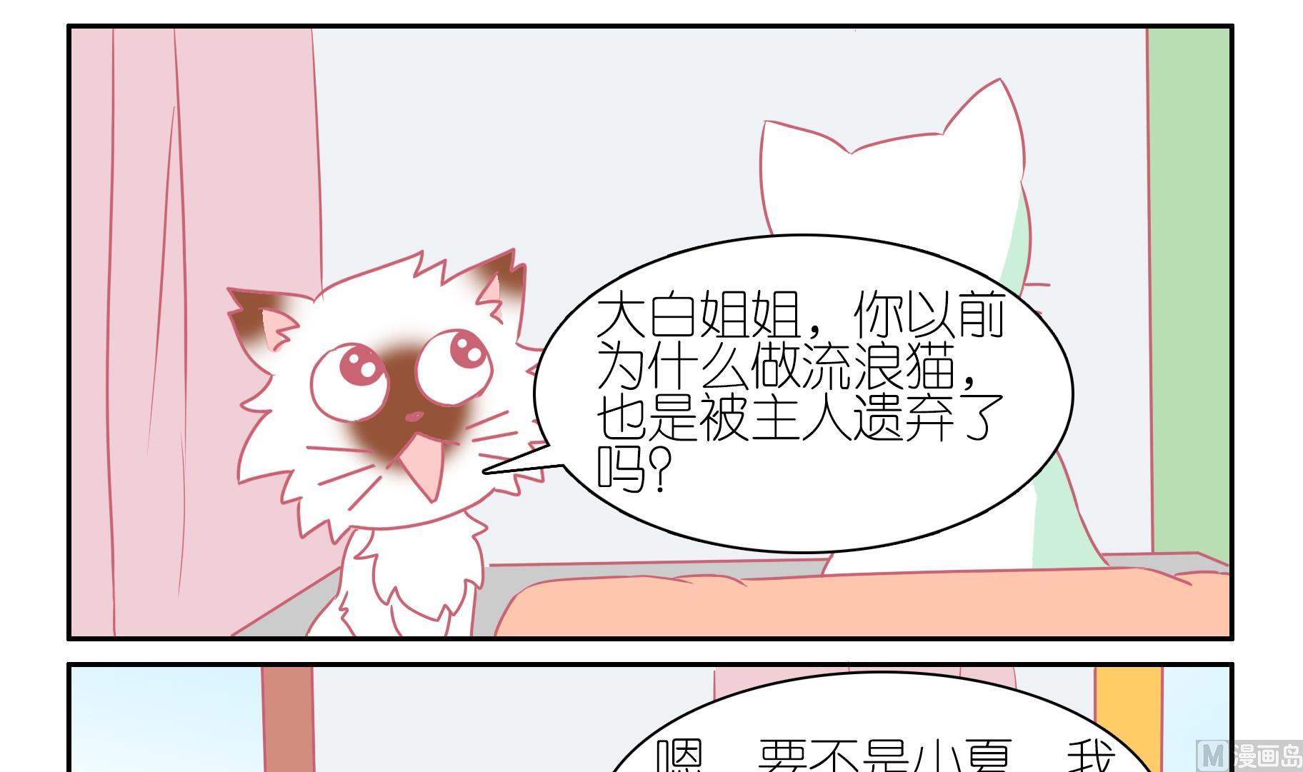 第54话 助喵能手 7-第54话