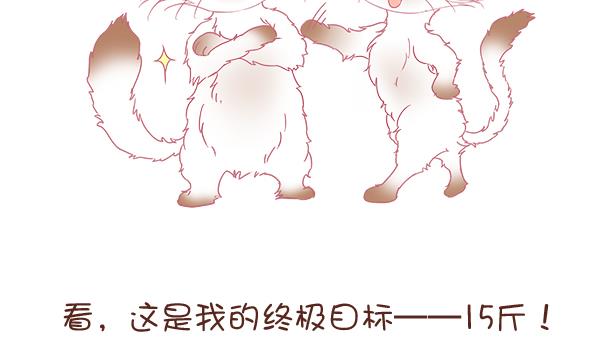 第8话 增肥计划 2-第8话