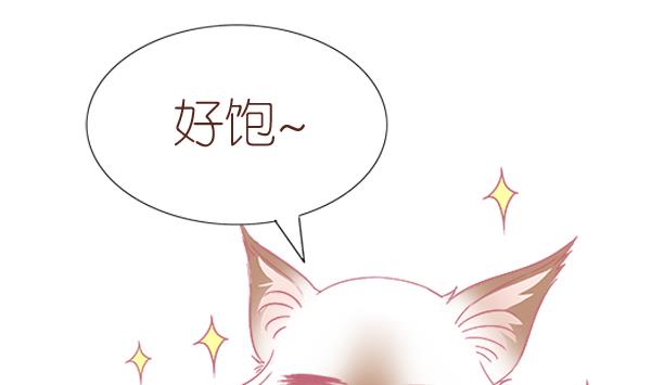 第8话 增肥计划 2-第8话