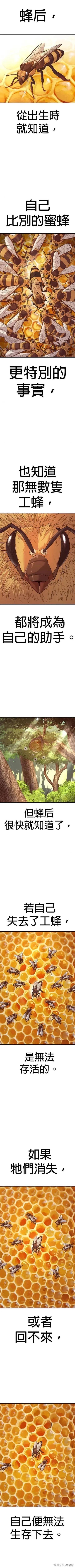 🍹觸法少年 第52话 第1页