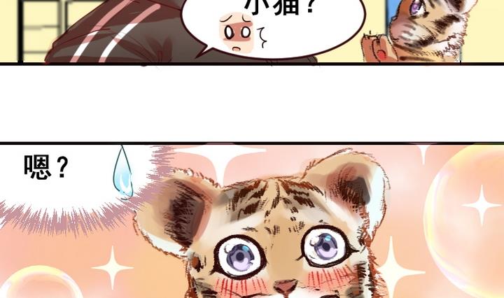 第20话 这是老虎不是猫啊！-第20话
