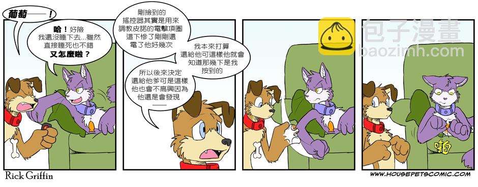 🍹Housepets! 第2话 第12页