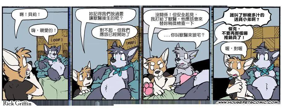 🍹Housepets! 第1062话 第1页