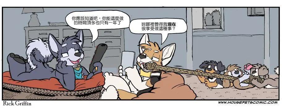 🍹Housepets! 第1132话 第1页