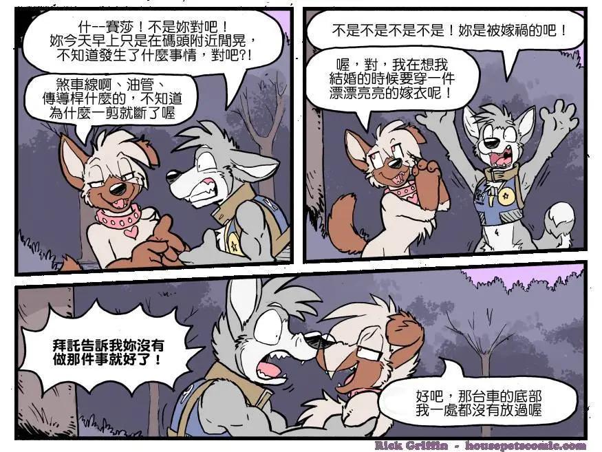 🍹Housepets! 第1170话 第1页