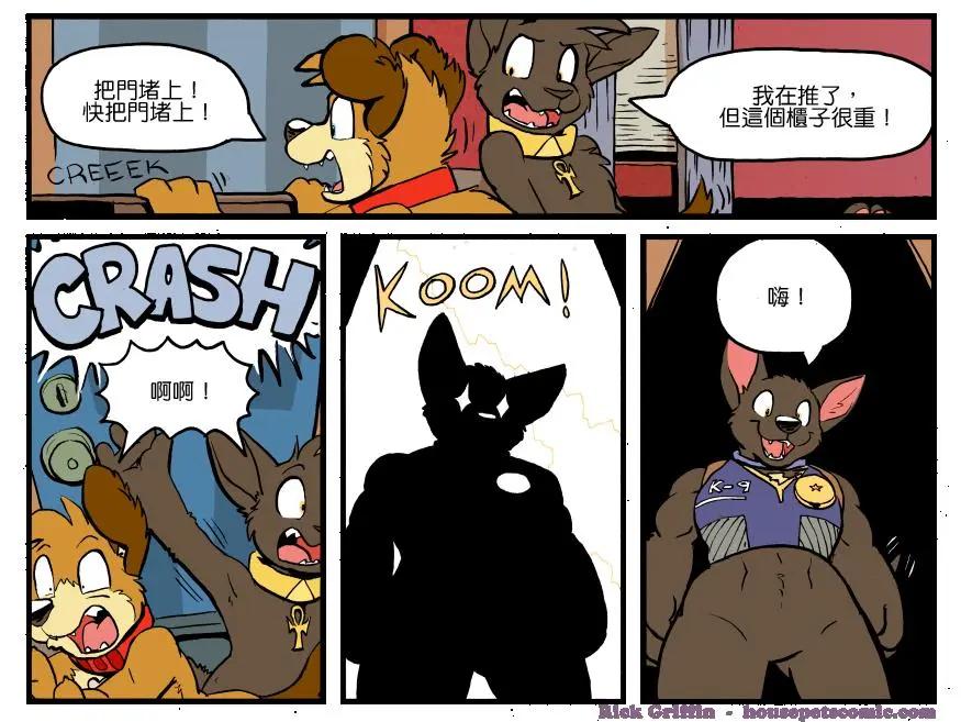 🍹Housepets! 第1186话 第1页