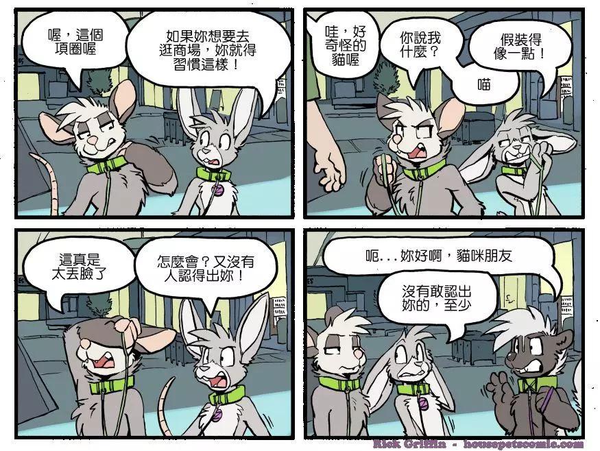 🍹Housepets! 第1224话 第1页