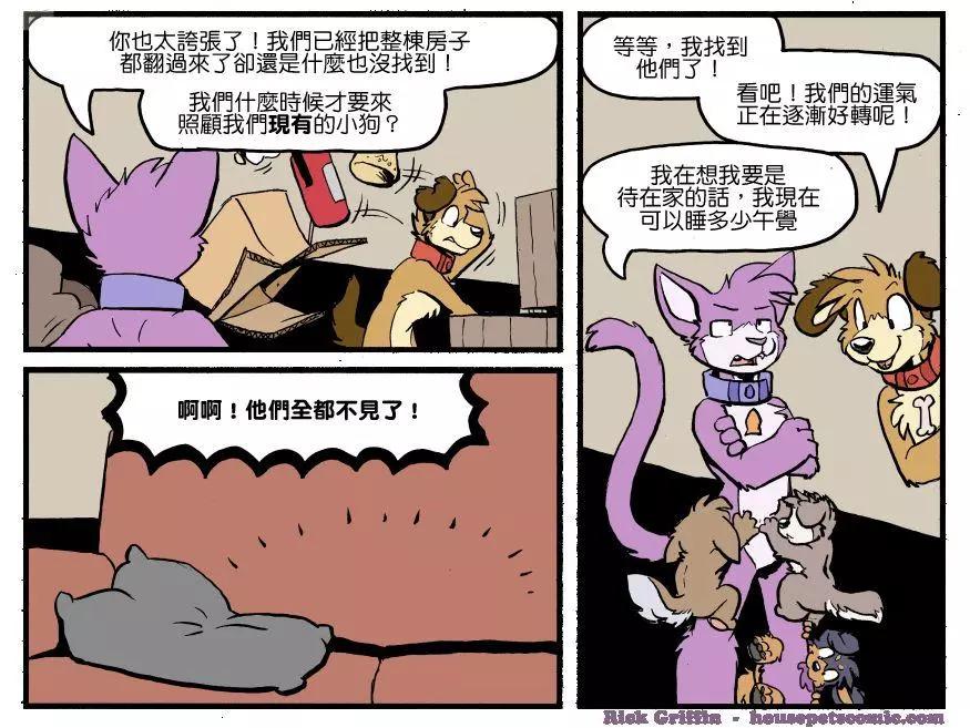 🍹Housepets! 第1234话 第1页