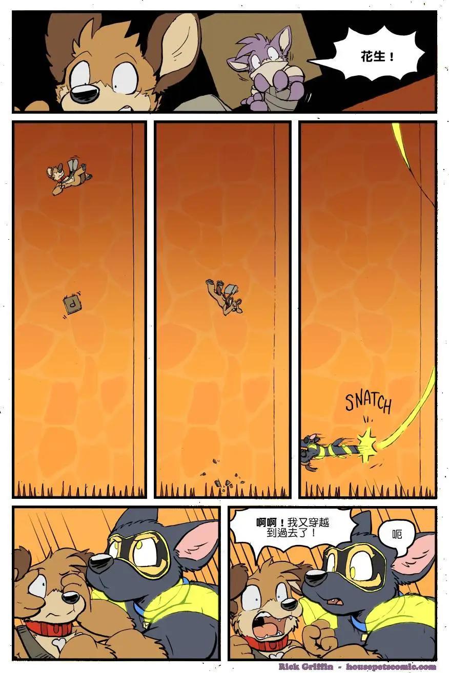 🍹Housepets! 第1302话 第1页
