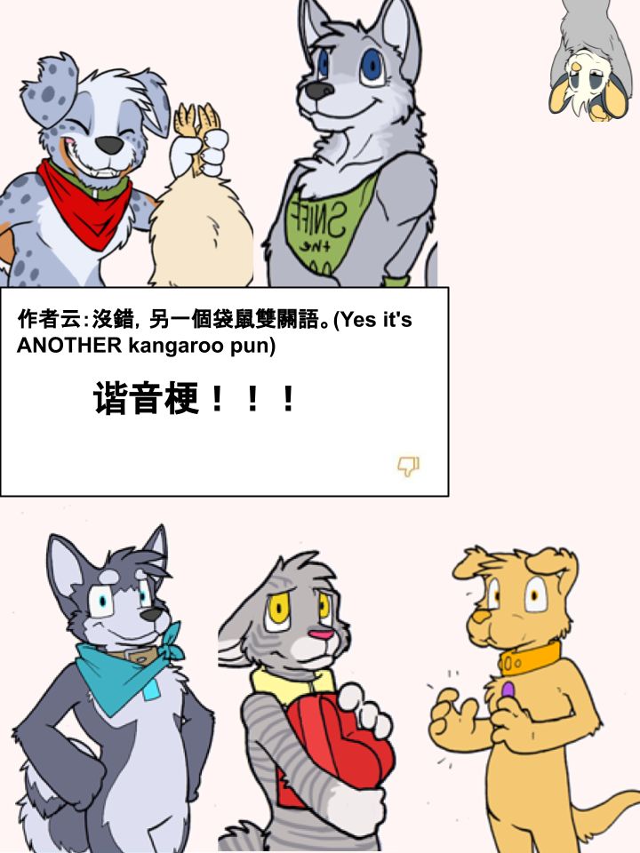 🍹Housepets! 第269话 第2页