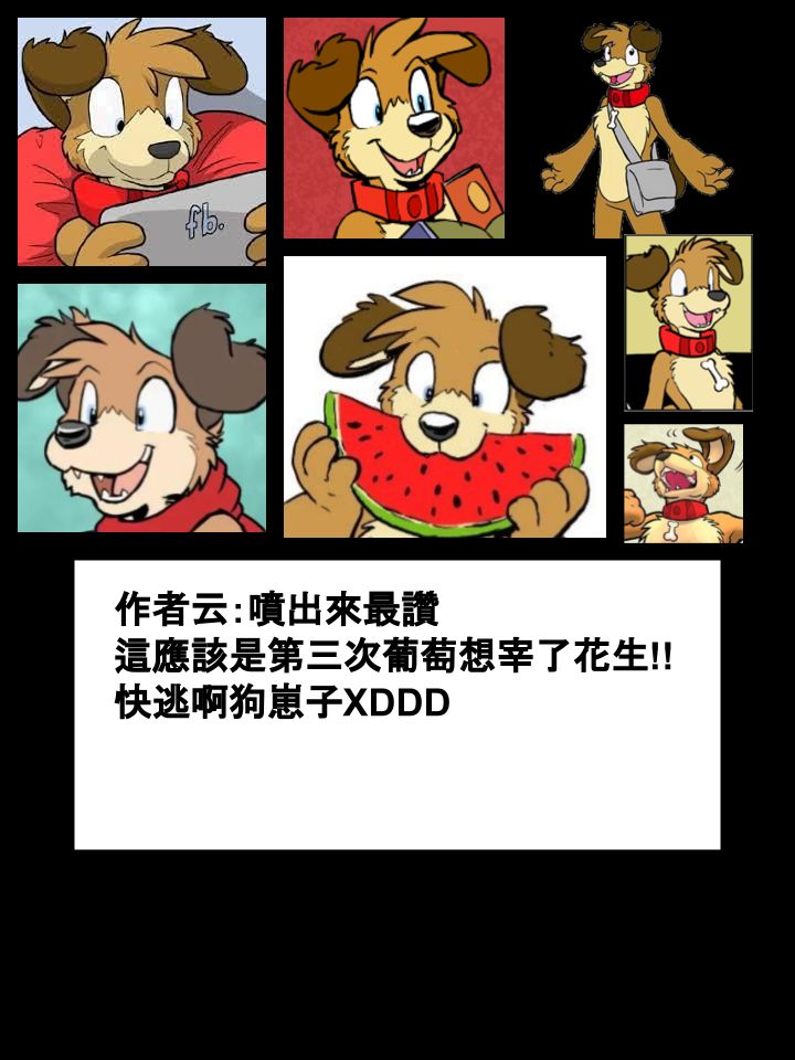 🍹Housepets! 第377话 第2页