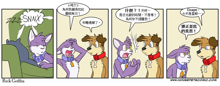 🍹Housepets! 第381话 第1页