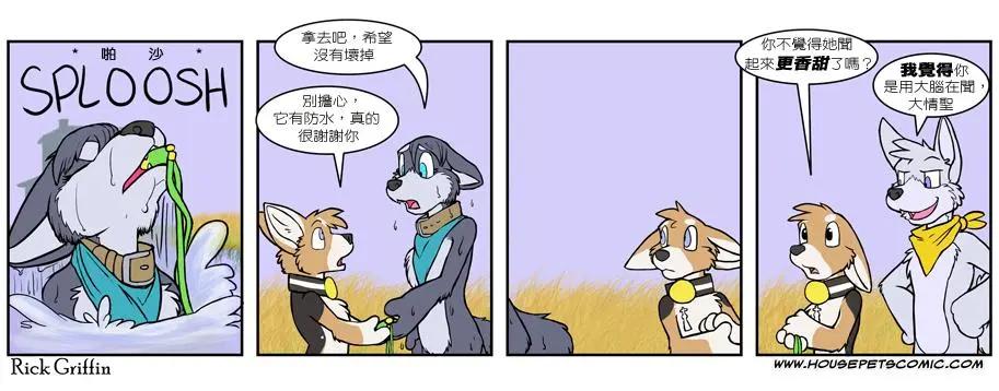 🍹Housepets! 第481话 第1页