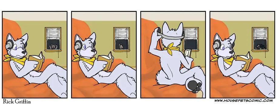 🍹Housepets! 第527话 第1页