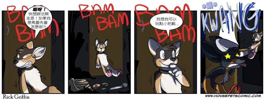 🍹Housepets! 第531话 第1页