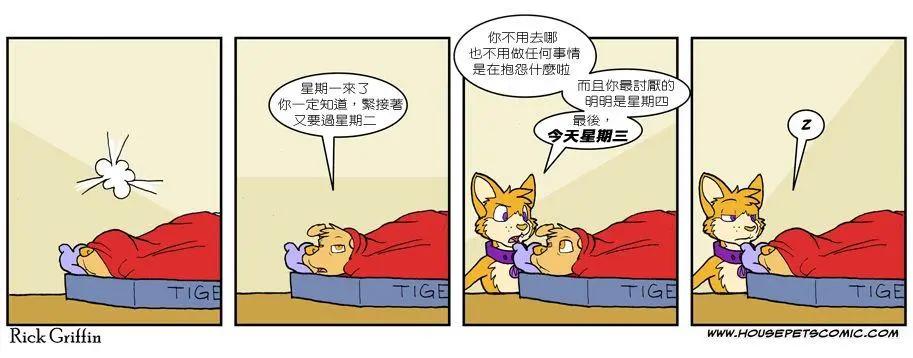🍹Housepets! 第535话 第1页