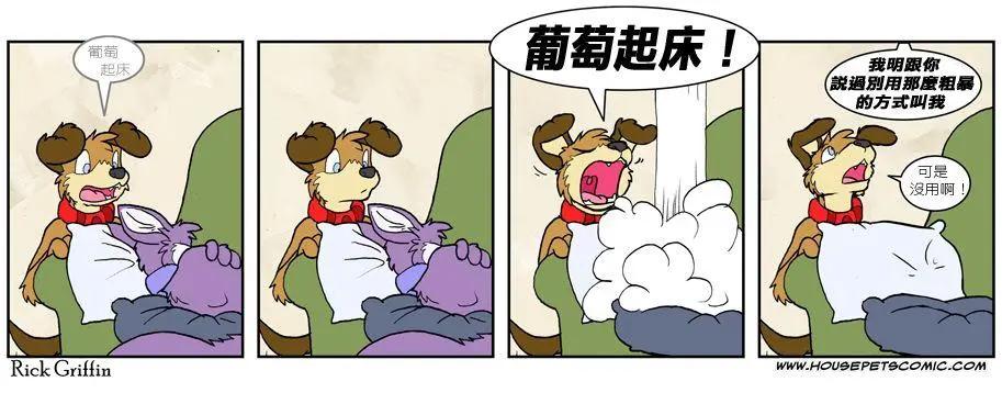 🍹Housepets! 第562话 第1页