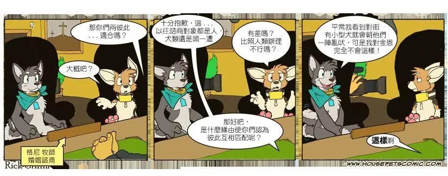🍹Housepets! 第684话 第1页