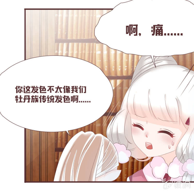 花灵大会到底是？-第30话