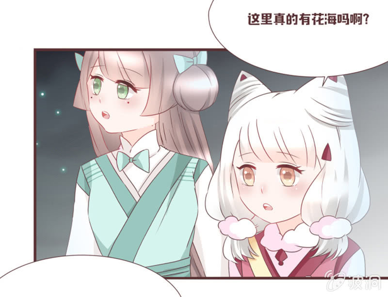 小狐狸有危险了！-第32话