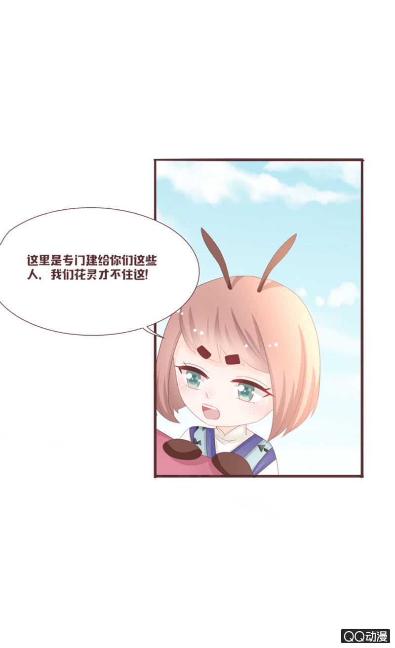 准备：花灵大会！-第56话