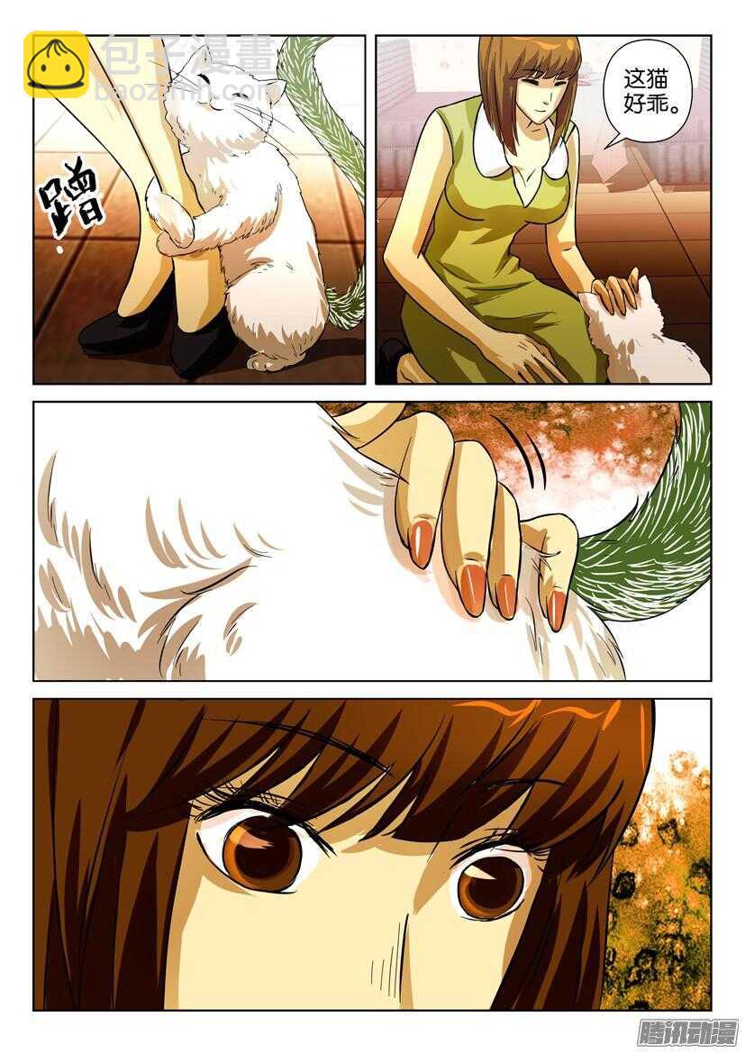 第一百六十四回 猫尾的恐惧-第164话