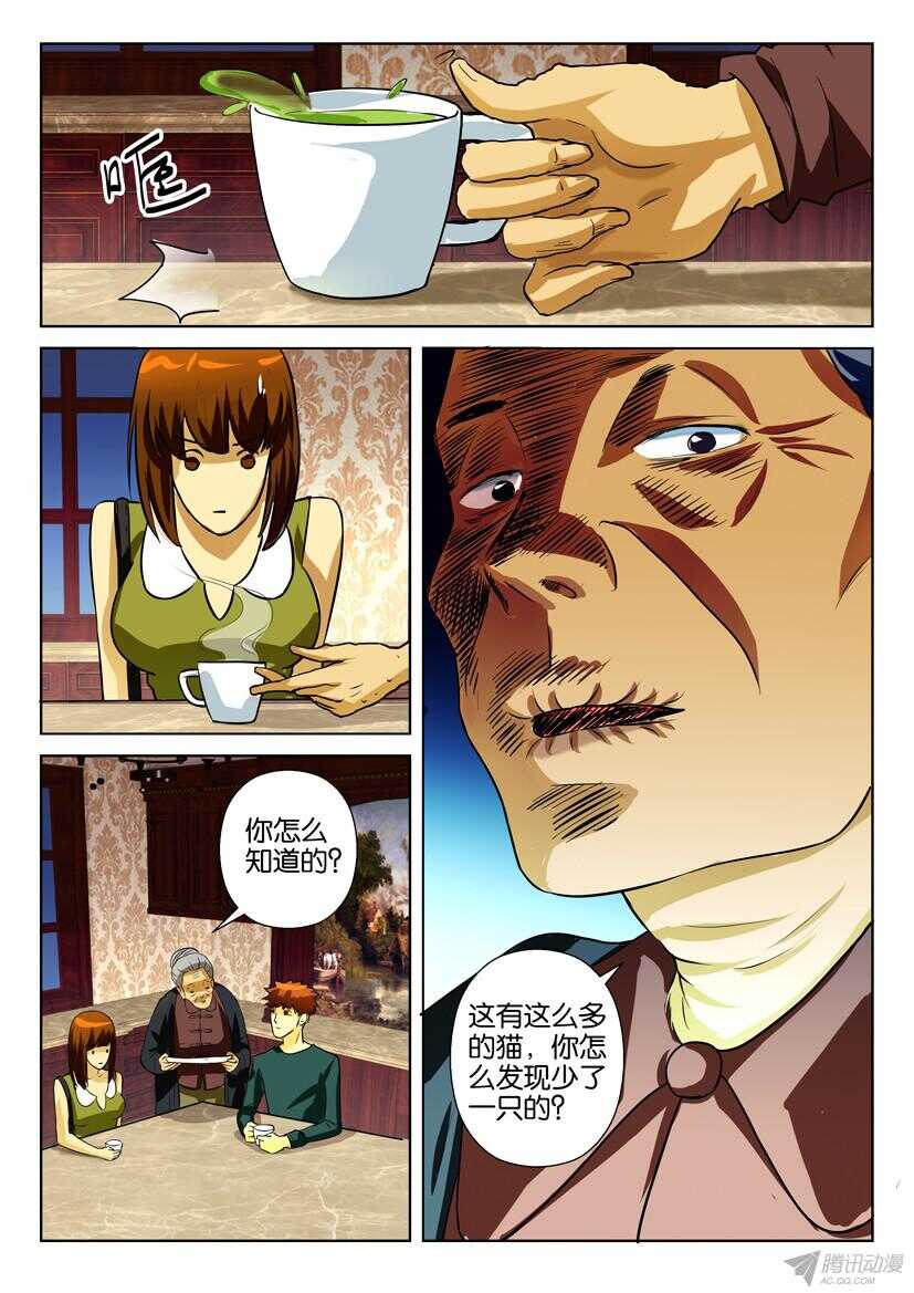 第一百六十八回 盆中猫-第168话