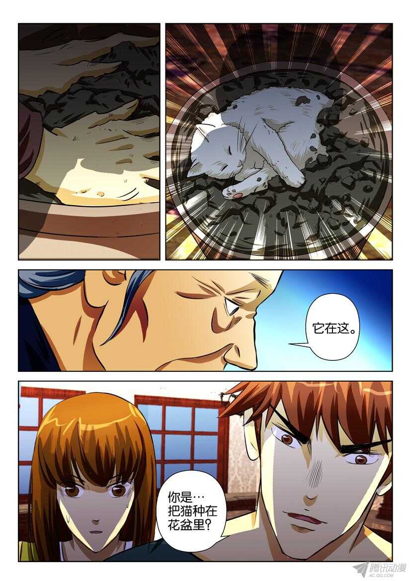 第一百六十八回 盆中猫-第168话