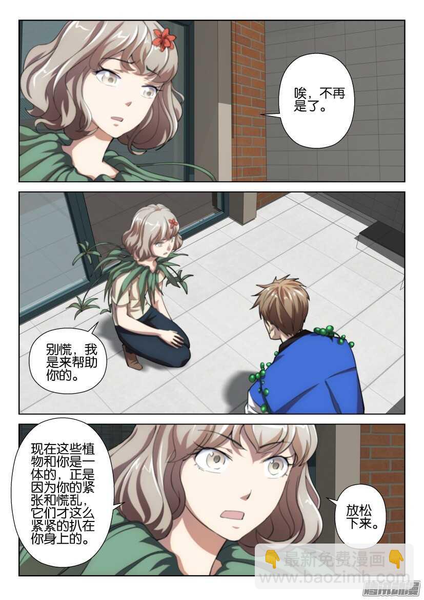 第262回 吊兰们-第262话